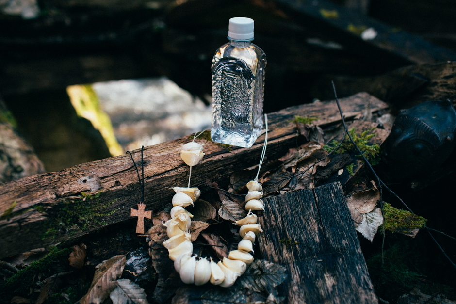 Сербское село Зарожье